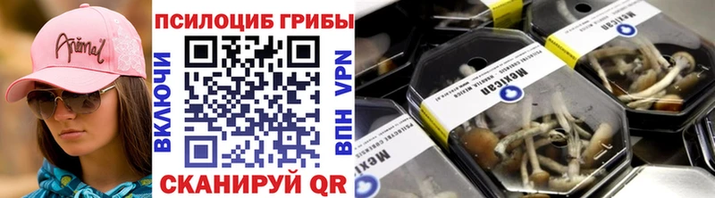 как найти закладки  Облучье  Галлюциногенные грибы Magic Shrooms 